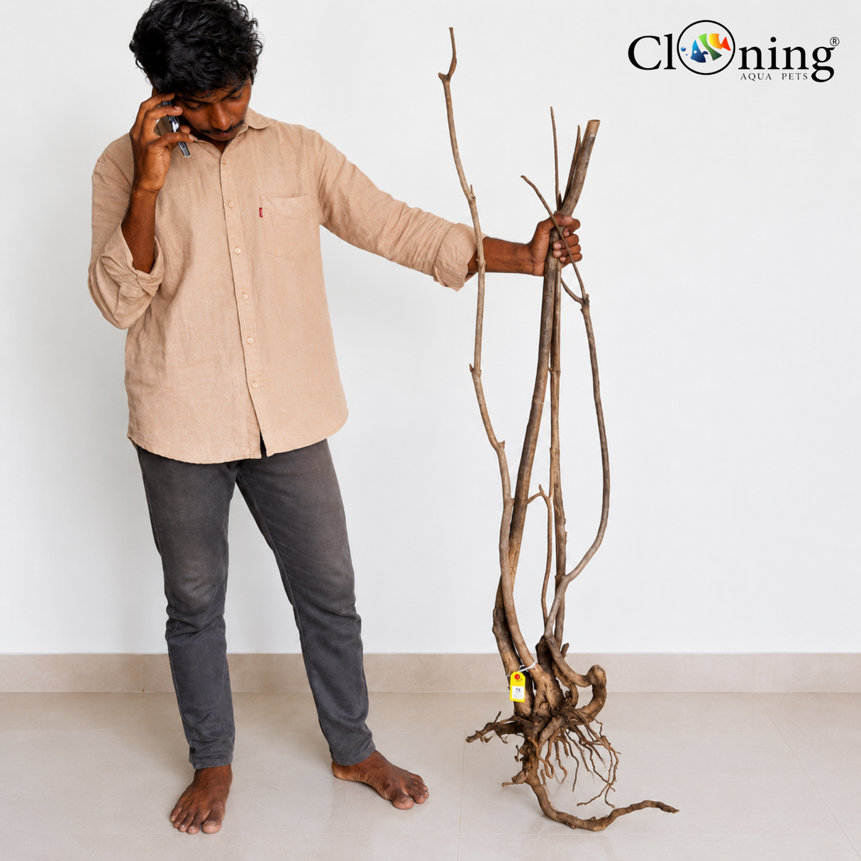 Stem Driftwood SD29 | L*W*H = 26*19*55Inches