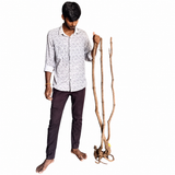 Stem Driftwood SD3 | L*W*H = 13*11*54 Inches