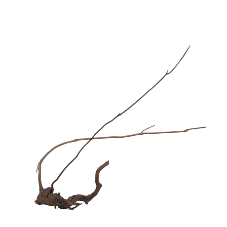Stem Driftwood SD2 L*W*H = 29*8*26 Inches