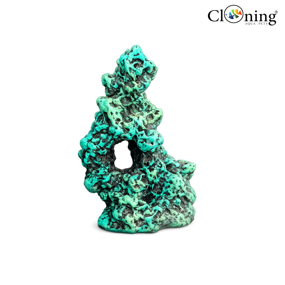 Decorative coral-like structure with a hole on a white background, branded 'Cloning'.