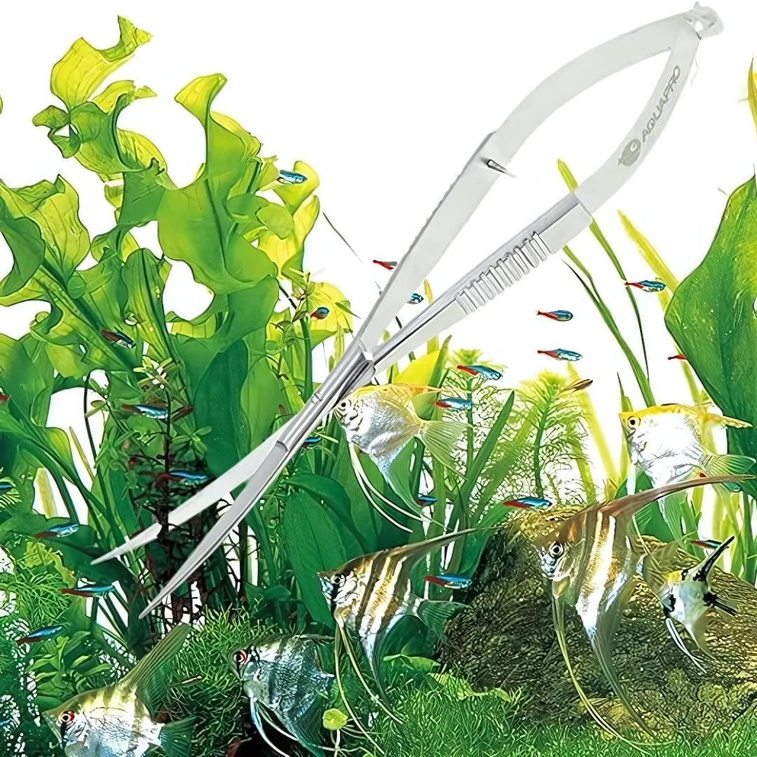 Spring-Loaded Aquarium Scissors – Precision Aquascaping Tool ...