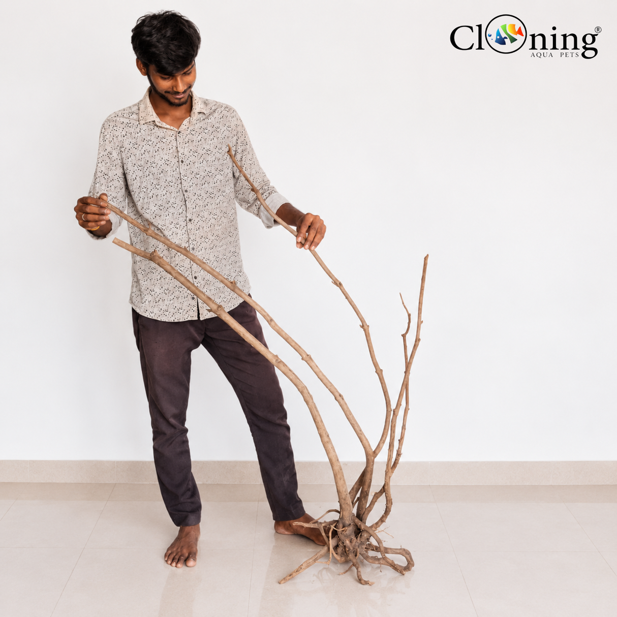 Stem Drift Wood SD1 | L*W*H = 39*18*51 Inches