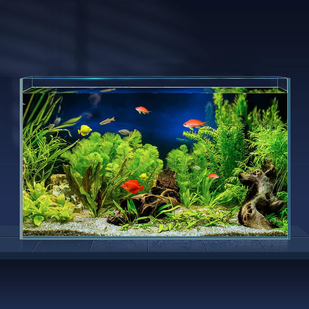 Ultra Clear Open Tank Only (L*W*H = 30*18*24 Cms) | 5mm