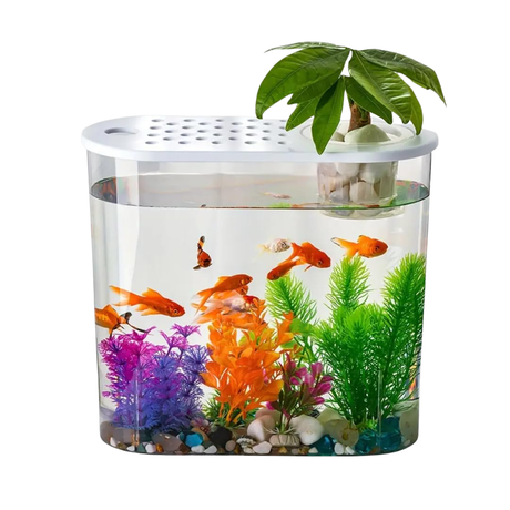 Bluepet Glass Aquarium BL-09 (L*W*H =32 *15*29 Cms)