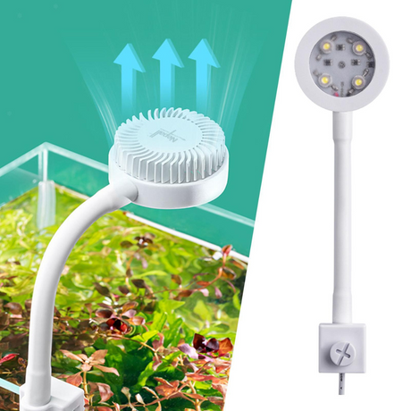 Cube One Mini Paludarium With Landscape & Kit