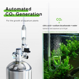 CO2 Fully Automatic Kit With Timer