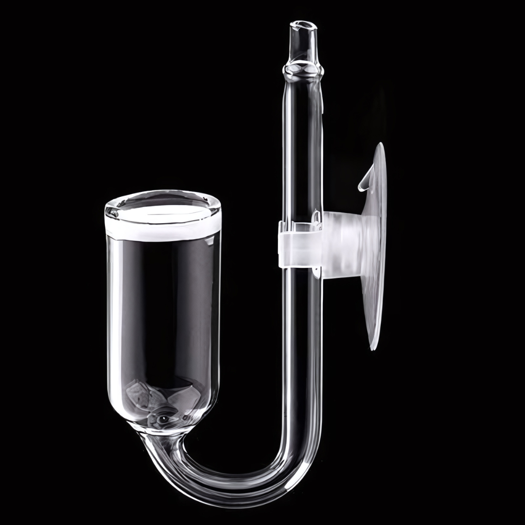 CO2 Fully Automatic Kit With Timer