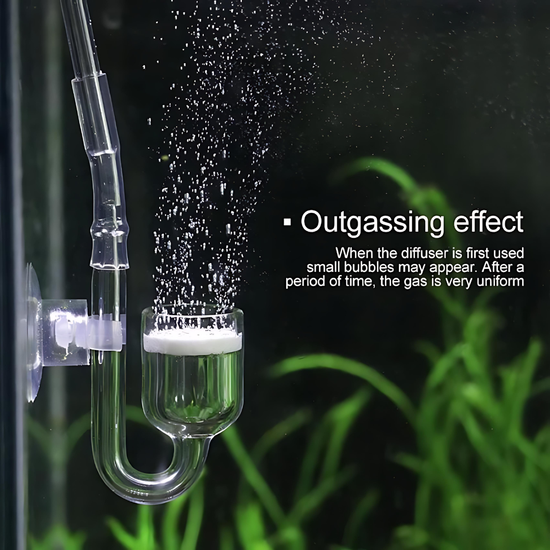 CO2 Glass Diffuser (M Size)