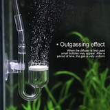 CO2 Glass Diffuser (M Size)