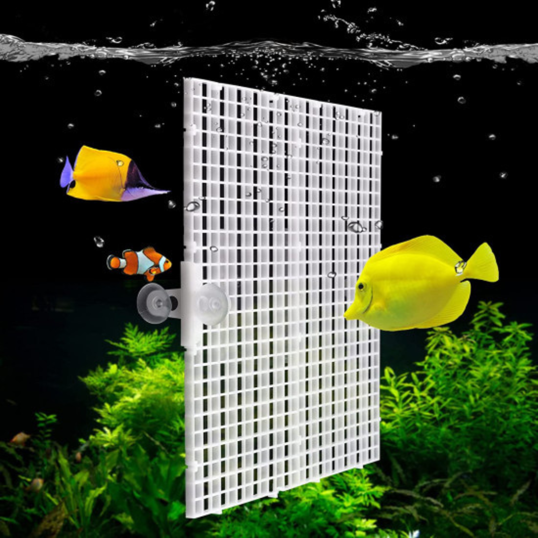 White Tank Divider Grid & Egg Tray (6*12 Inches)