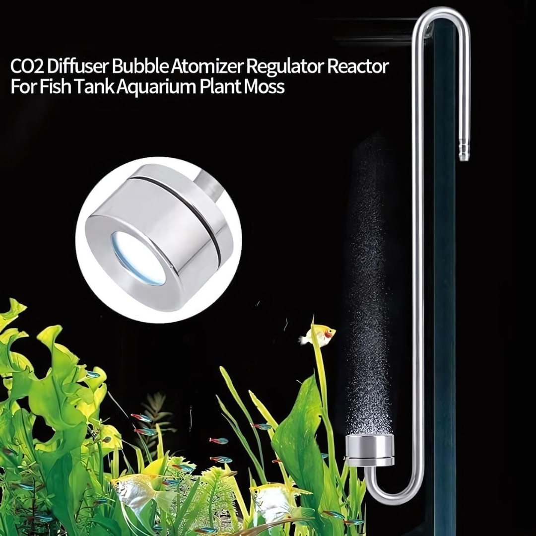 CO2 Bubble Atomizer/Diffuser (25 cm)