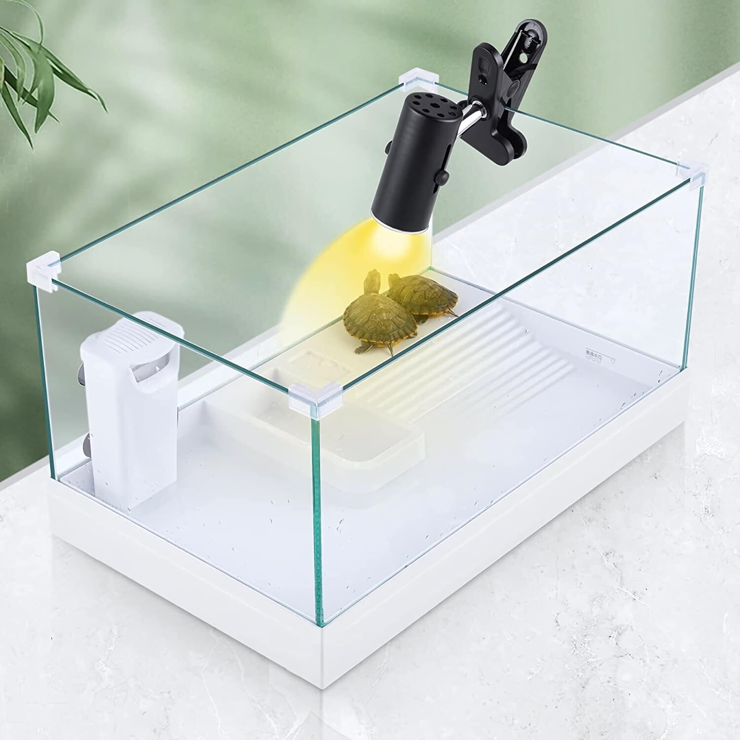 Extra Clear Turtle Tank Only YGG177 (Large)