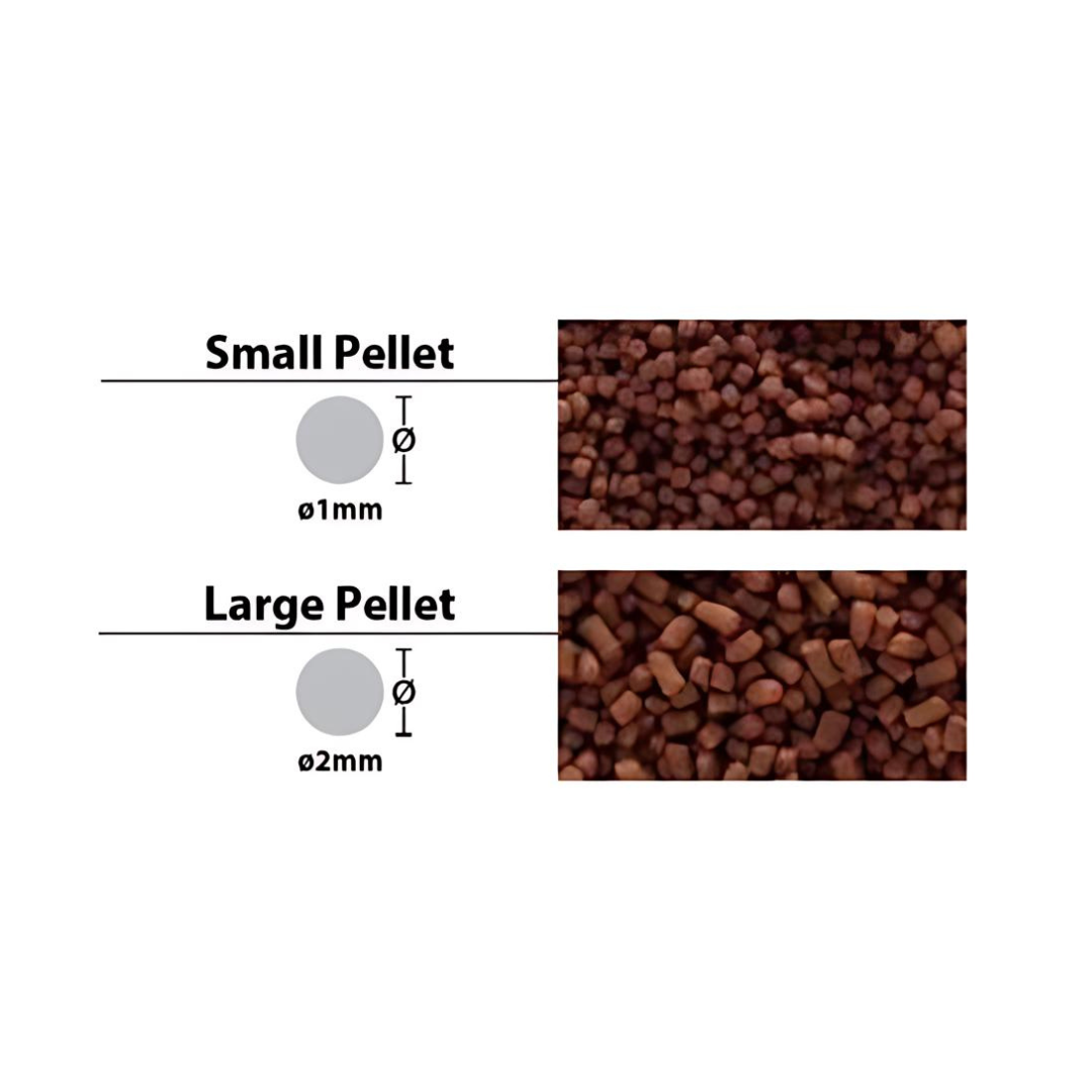 Food Ocean Free DS-G1 Pro Discuss Food 120gm