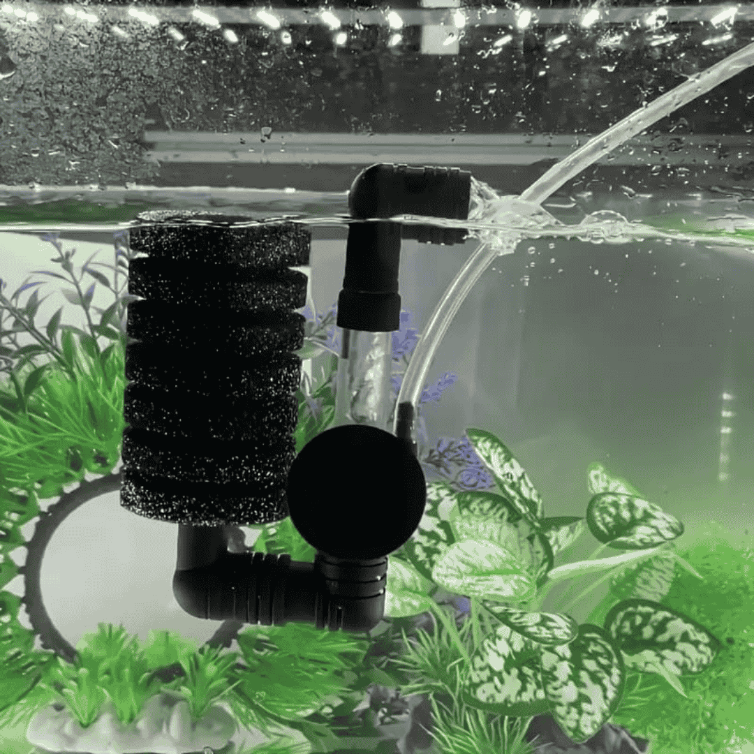 Canister Filter Sponge – cloningaquapets