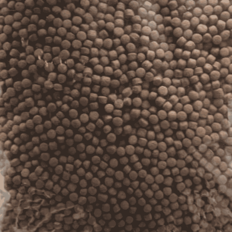 Food Provit Red 150g