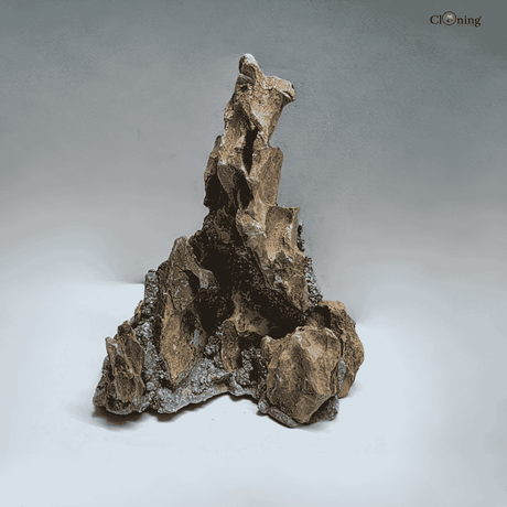 Dragon Stone (Ohko Stone)