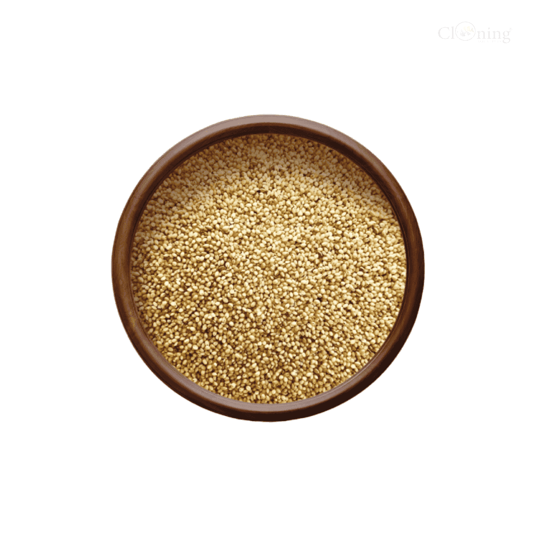 Food Thenai 2kg (Foxtail Millet)