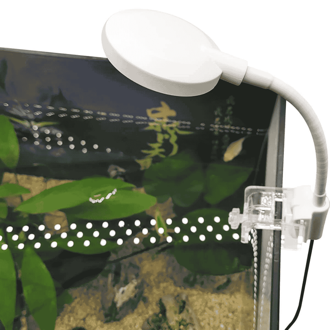 RS-S60 | ವಿದ್ಯುತ್ ಎಲ್ಇಡಿ ಬಿಳಿ, ನೀಲಿ ಬೆಳಕು