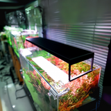 CHIHIROS LED WRGB II Slim-45 For Planted Aquarium – Bluetooth Edition