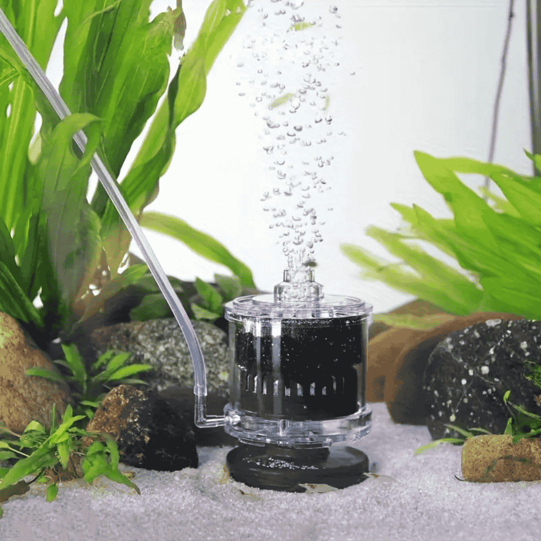 Sponge Filter SOBO SB-533