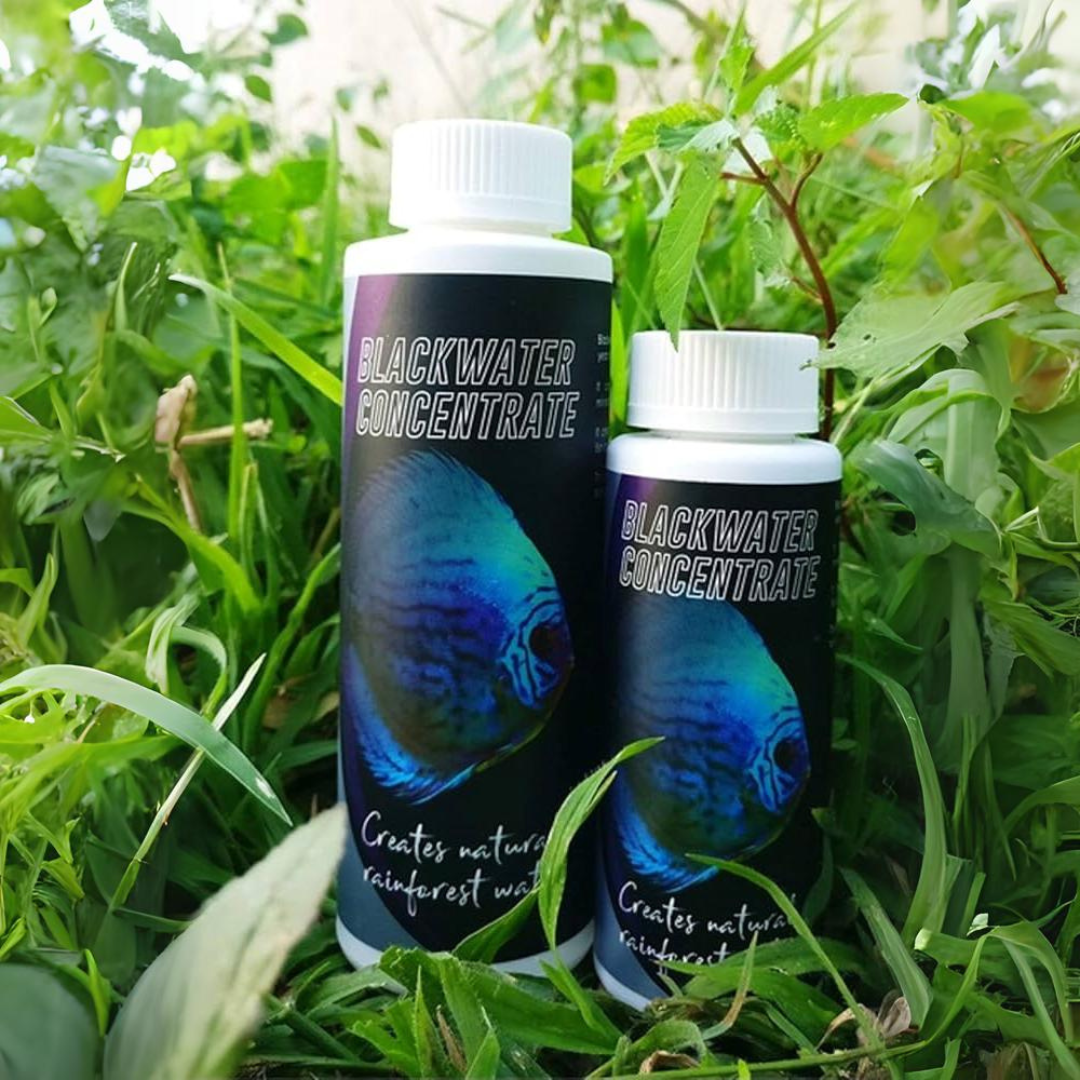 Starter Aquatic Remedies Black Water Concentrate