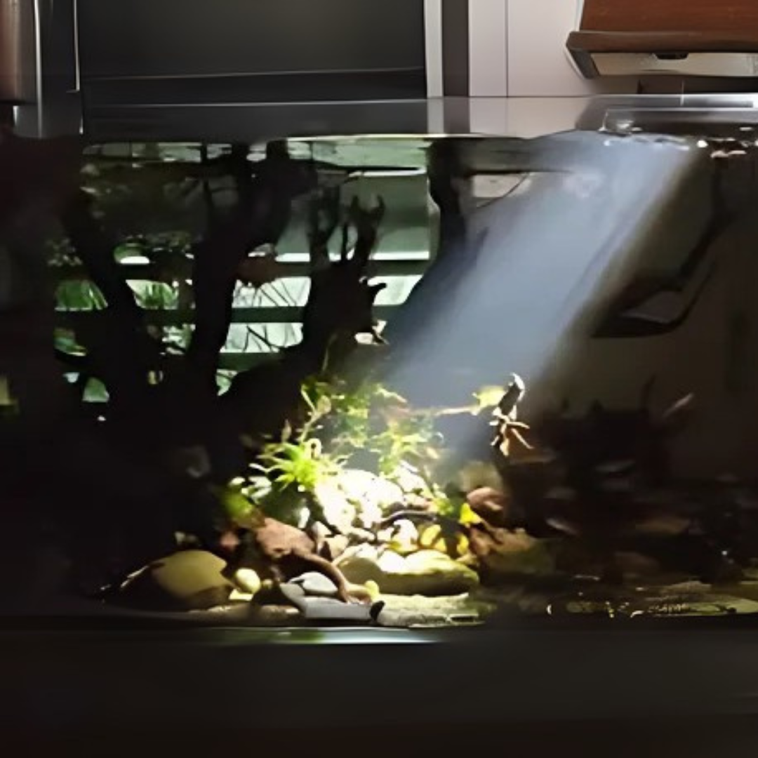 CHIHIROS Z Light Tiny - Advanced Zoomable Aquarium Light