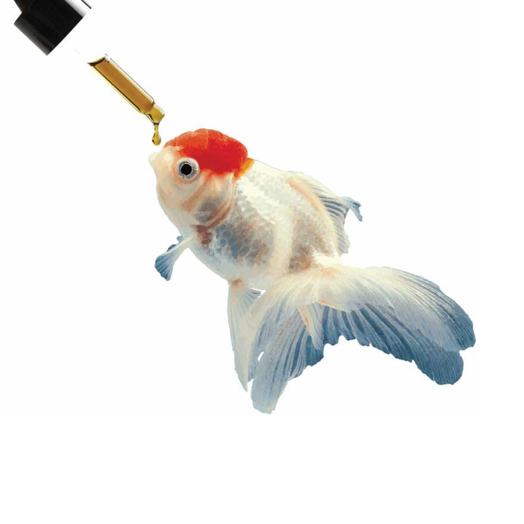 Fish medicine shop near me hot sale