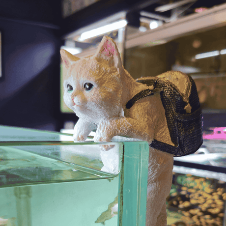 Decor Toy - 6*4*6 Inches - Hanging Cat