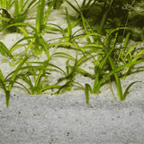 Decor JBL White Sand