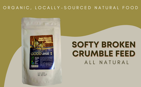 Angel Fish Softy Broken Crumble Feed 100g