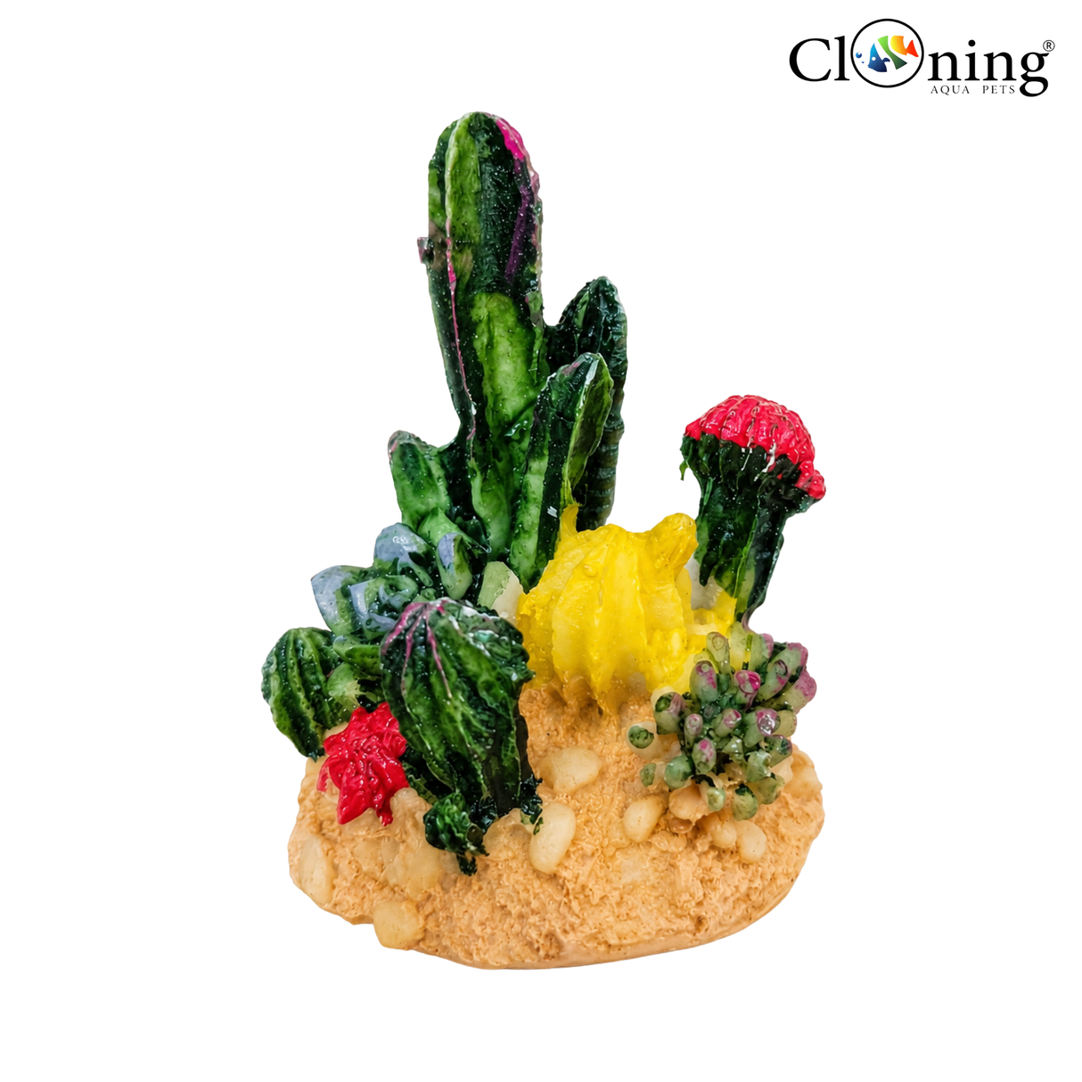 Decor Desert Bloom Cactus Décor
