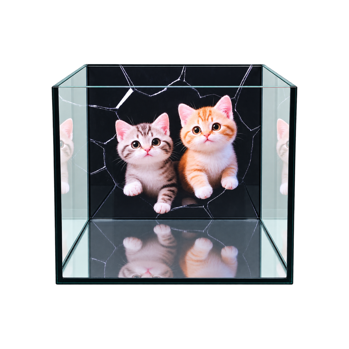 Ultra Clear Cubic Tank With Cat Background Sticker | L*W*H = 30*30*30 cm