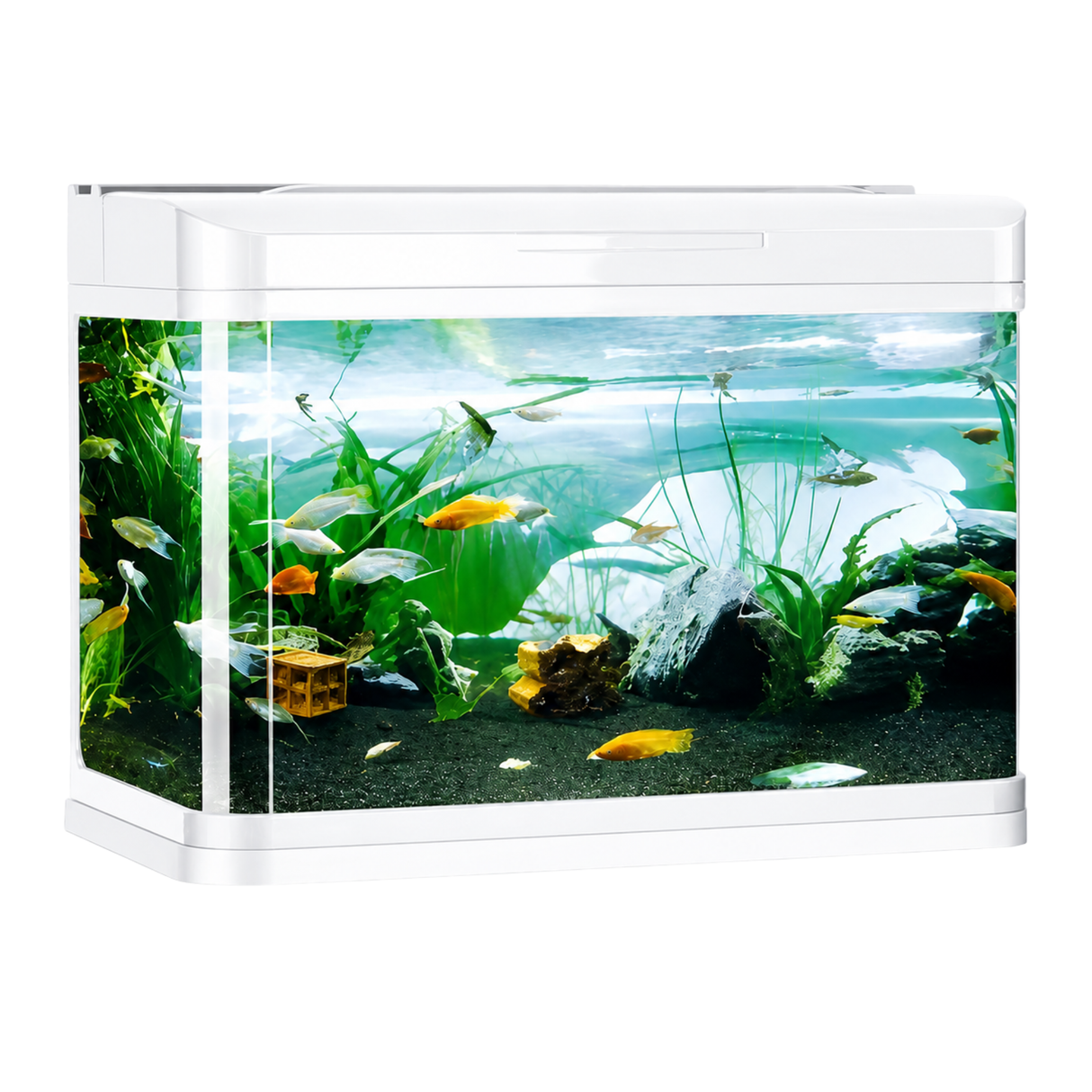 Five Star D-800 Aquarium Tank Only (White Colour )