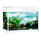 Five Star D-800 Aquarium Tank Only (White Colour )