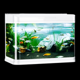 Five Star D-800 Aquarium Tank Only (White Colour )
