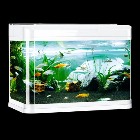 Five Star D-800 Aquarium Tank Only (White Colour )