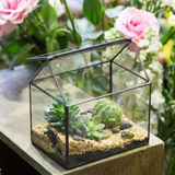 House Shaped Geometric Glass Terrarium Box L*W*H = 7*5*6 Inches