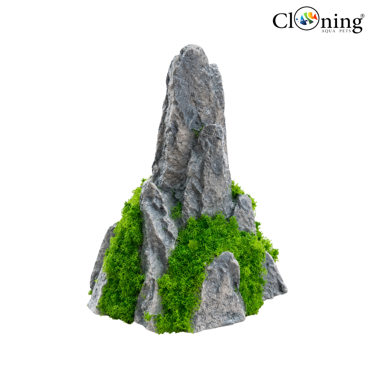 Rock formation with greenery on a white background, featuring the Cloning logo.