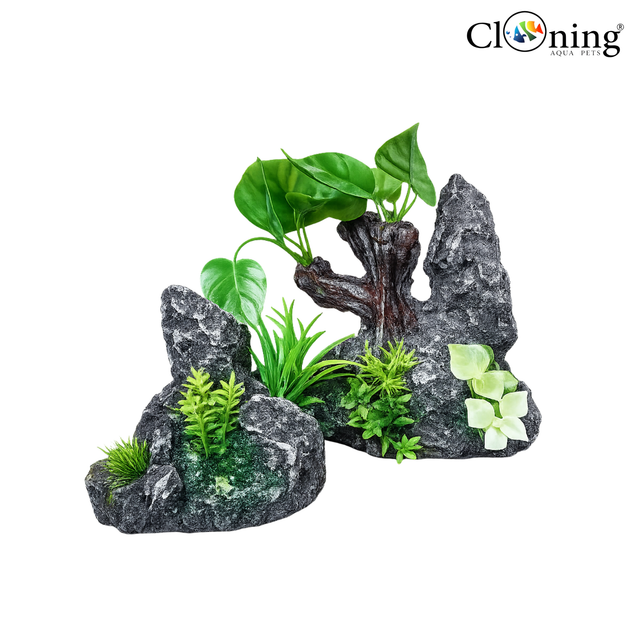 Decorative aquarium setup with rocks and plants on a white background, featuring the brand 'Cloning'.