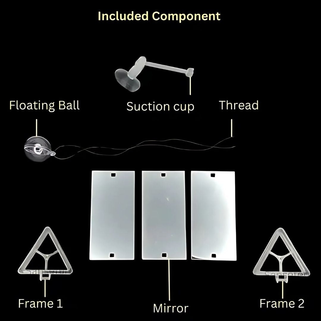 Jeneca |  Rumble Fish Training Mirror | DYJ - 10