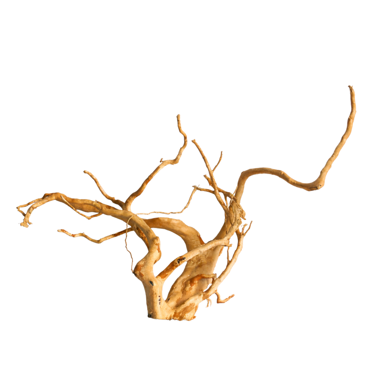Premium Drift Wood PD15 | L*W*H = 28*13*8 Inches