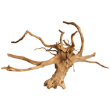 Premium Drift wood PD-17 | L*W*H = 23*15*17 Inches