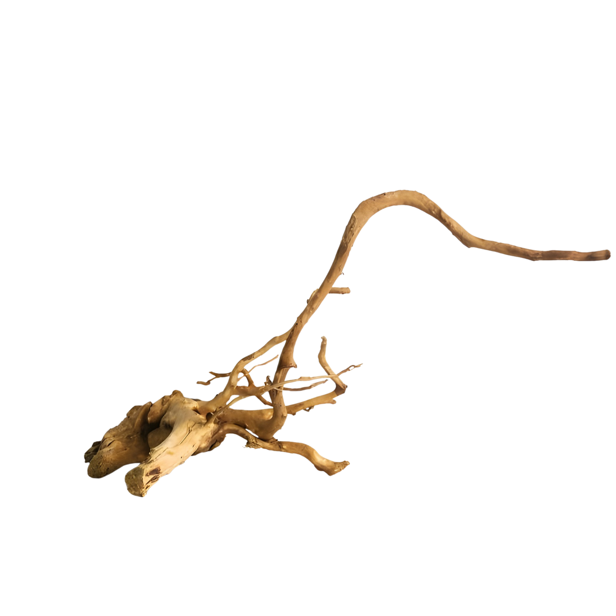 Premium Drift Wood PD-18 | L*W*H = 19*12*12 Inches