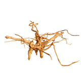 Premium Drift Wood PD-20 | L*W*H = 22*20*10 Inches