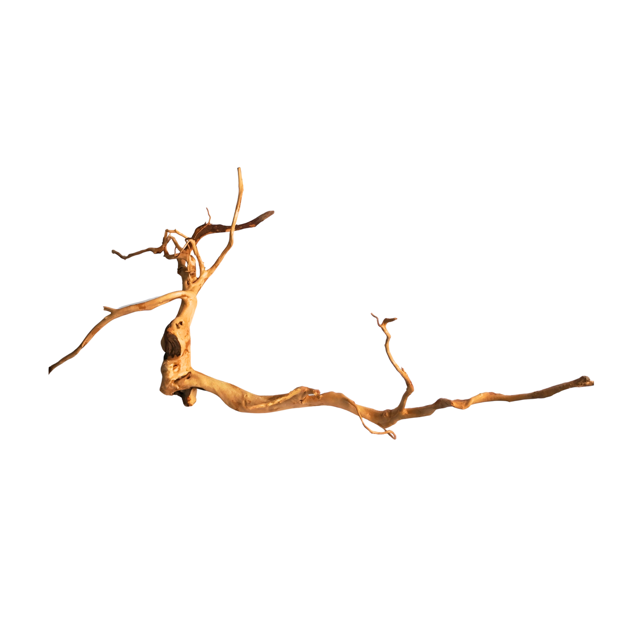 Premium Drift Wood PD-22 | L*W*H = 30*22*15 Inches