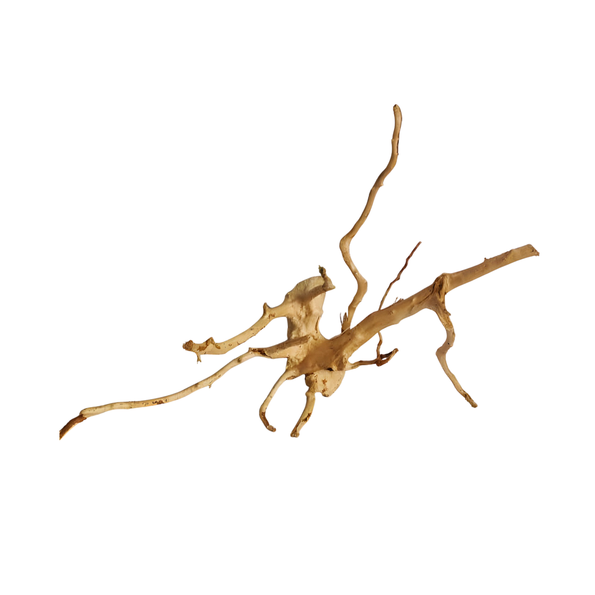 Premium Drift Wood PD-23 | L*W*H = 22*12*17 Inches