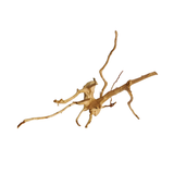 Premium Drift Wood PD-23 | L*W*H = 22*12*17 Inches