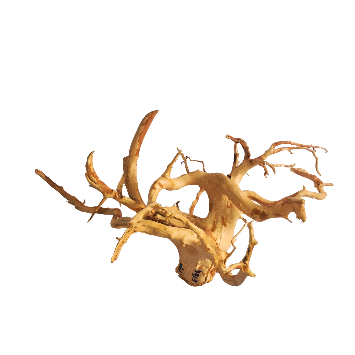 Premium Drift Wood PD-26 | L*W*H = 27*19*10 Inches