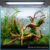 Premium Drift Wood PD-26 | L*W*H = 27*19*10 Inches