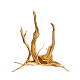 Premium Drift Wood PD-5 | L*W*H = 13*8*13 Inches